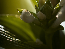 Image-rectangle_220_165