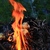 Image-square_50