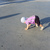 Image-square_50