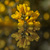 Image-square_50