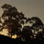 Image-square_50