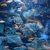 Image-square_50
