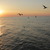 Image-square_50