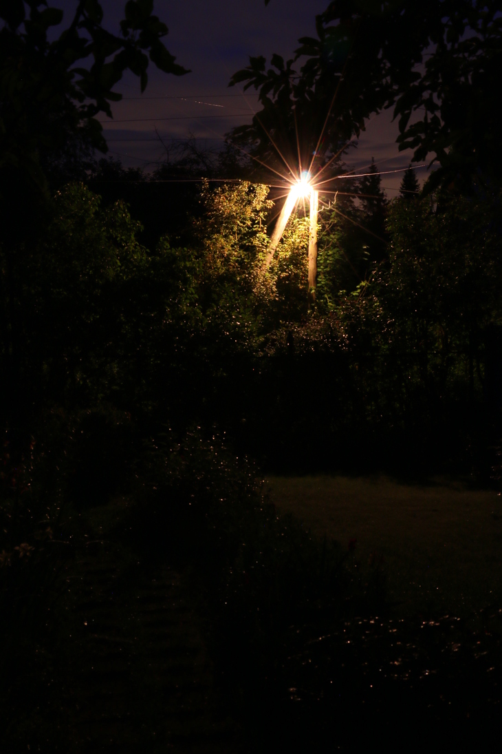 Image-normal
