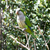 Image-square_50