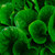 Image-square_50